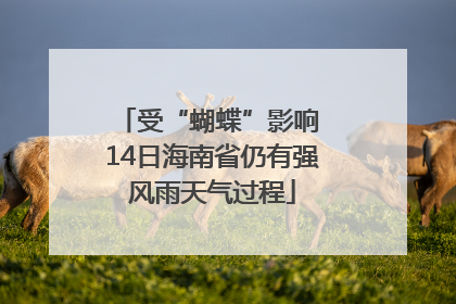 受“蝴蝶”影响 14日海南省仍有强风雨天气过程