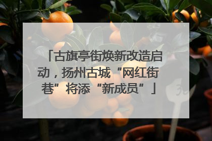 古旗亭街焕新改造启动，扬州古城“网红街巷”将添“新成员”