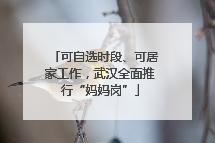 可自选时段、可居家工作，武汉全面推行“妈妈岗”