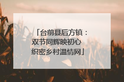 台前县后方镇：双节同辉映初心 织密乡村温情网