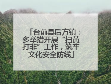 台前县后方镇：多举措开展“扫黄打非”工作，筑牢文化安全防线
