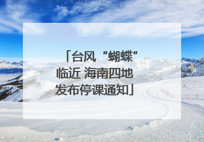 台风“蝴蝶”临近 海南四地发布停课通知