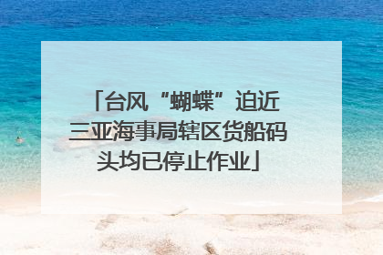 台风“蝴蝶”迫近 三亚海事局辖区货船码头均已停止作业