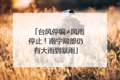 台风停编≠风雨停止！南宁局部仍有大雨到暴雨