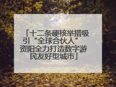 十二条硬核举措吸引“全球合伙人” 资阳全力打造数字游民友好型城市