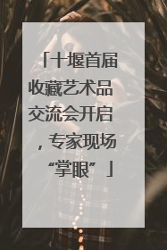 十堰首届收藏艺术品交流会开启，专家现场“掌眼”