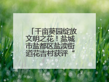 千亩葵园绽放文明之花！盐城市盐都区盐渎街道花吉村获评“全国文明村”