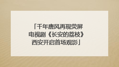 千年唐风再现荧屏 电视剧《长安的荔枝》西安开启首场观影