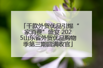 千款外贸优品引爆“家消费”盛宴 2025山东省外贸优品购物季第三期圆满收官