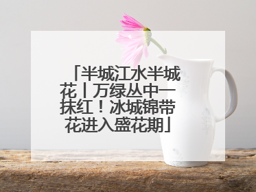 半城江水半城花丨万绿丛中一抹红！冰城锦带花进入盛花期