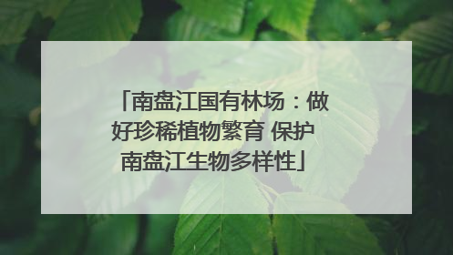 南盘江国有林场：做好珍稀植物繁育 保护南盘江生物多样性