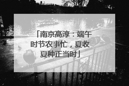 南京高淳：端午时节农事忙，夏收夏种正当时