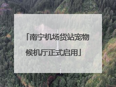 南宁机场货站宠物候机厅正式启用