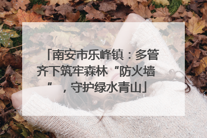 南安市乐峰镇：多管齐下筑牢森林“防火墙”，守护绿水青山