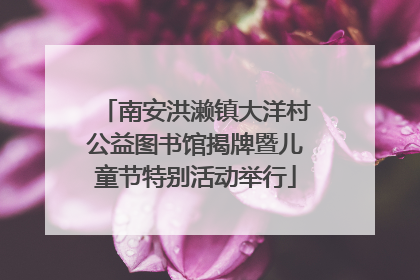 南安洪濑镇大洋村公益图书馆揭牌暨儿童节特别活动举行