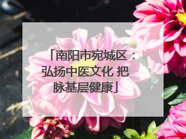 南阳市宛城区：弘扬中医文化 把脉基层健康