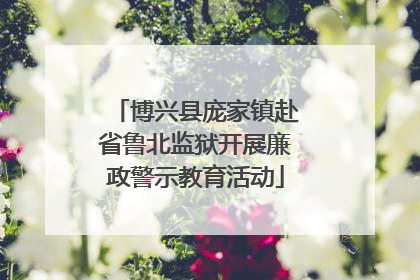 博兴县庞家镇赴省鲁北监狱开展廉政警示教育活动