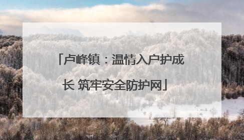 卢峰镇：温情入户护成长 筑牢安全防护网