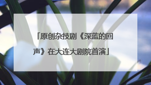 原创杂技剧《深蓝的回声》在大连大剧院首演