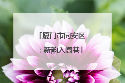 厦门市同安区：新韵入闾巷
