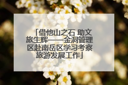 借他山之石 助文旅生辉——金洞管理区赴南岳区学习考察旅游发展工作