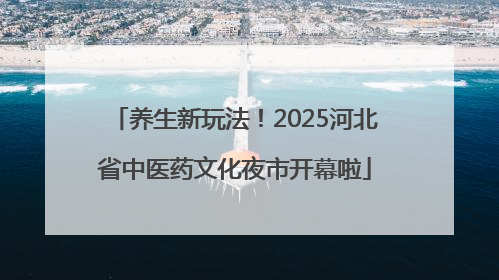 养生新玩法！2025河北省中医药文化夜市开幕啦