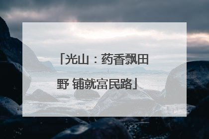 光山：药香飘田野 铺就富民路