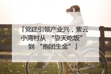 党建引领产业兴，紫云小湾村从 “靠天吃饭” 到 “抱团生金”