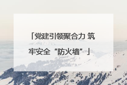 党建引领聚合力 筑牢安全“防火墙”