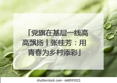 党旗在基层一线高高飘扬丨张桂芳：用青春为乡村添彩