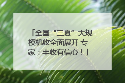 全国“三夏”大规模机收全面展开 专家：丰收有信心！