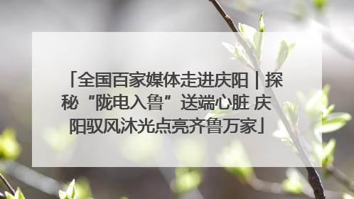 全国百家媒体走进庆阳｜探秘“陇电入鲁”送端心脏 庆阳驭风沐光点亮齐鲁万家