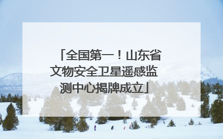 全国第一！山东省文物安全卫星遥感监测中心揭牌成立
