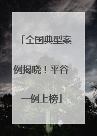 全国典型案例揭晓！平谷一例上榜
