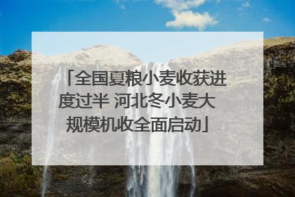 全国夏粮小麦收获进度过半 河北冬小麦大规模机收全面启动
