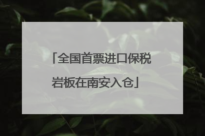 全国首票进口保税岩板在南安入仓