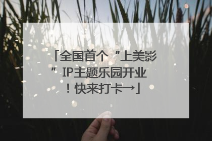 全国首个“上美影”IP主题乐园开业！快来打卡→