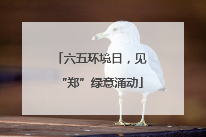 六五环境日，见“郑”绿意涌动