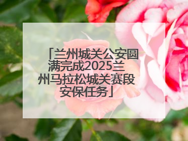 兰州城关公安圆满完成2025兰州马拉松城关赛段安保任务