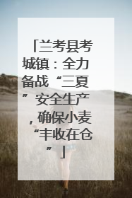 兰考县考城镇：全力备战“三夏”安全生产，确保小麦“丰收在仓”