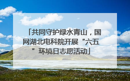 共同守护绿水青山，国网湖北电科院开展“六五”环境日志愿活动