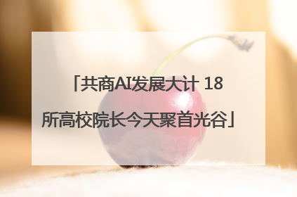 共商AI发展大计 18所高校院长今天聚首光谷