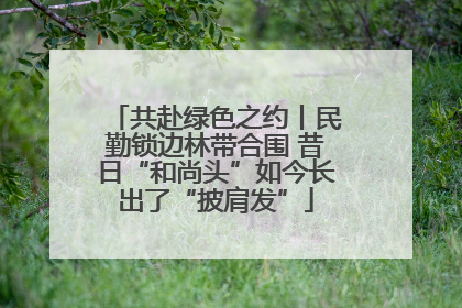 共赴绿色之约丨民勤锁边林带合围 昔日“和尚头”如今长出了“披肩发”