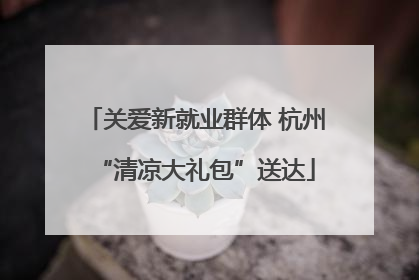 关爱新就业群体 杭州“清凉大礼包”送达