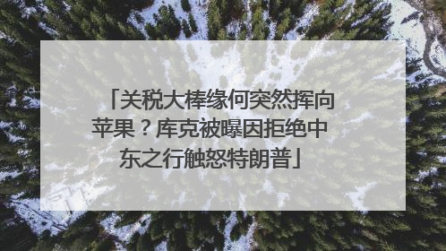 关税大棒缘何突然挥向苹果？库克被曝因拒绝中东之行触怒特朗普