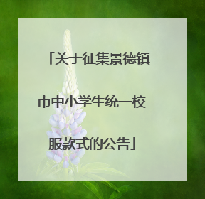 关于征集景德镇市中小学生统一校服款式的公告