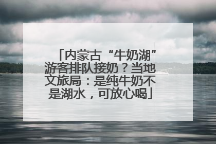 内蒙古“牛奶湖”游客排队接奶？当地文旅局：是纯牛奶不是湖水，可放心喝