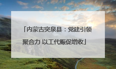 内蒙古突泉县：党建引领聚合力 以工代赈促增收