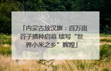 内蒙古敖汉旗：百万亩谷子播种启幕 续写“世界小米之乡”辉煌