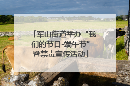 军山街道举办“我们的节日-端午节”暨禁毒宣传活动